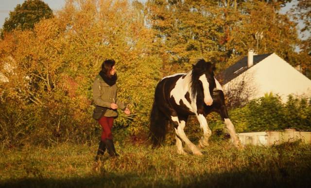 Enseignante d'equitation relationnelle