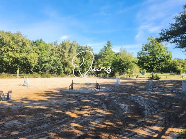 Domaine équestre complet  17 ha  Proche Lamotte-Beuvron