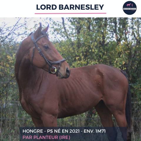 LORD BARNSLEY - PS - 4 ANS