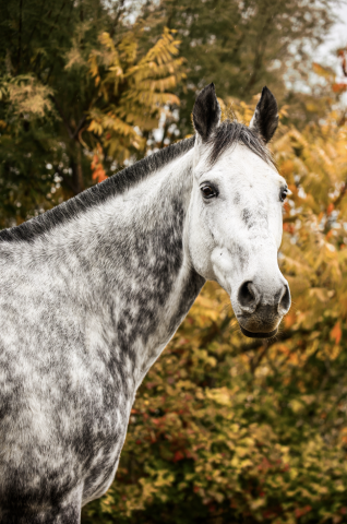 HALF TIME - 7ans - AA