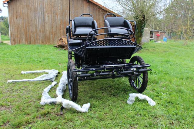 MARATHON TRAINING TR5 N°25331