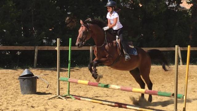 KILI Selle Français Origine 21 ans 1m60 