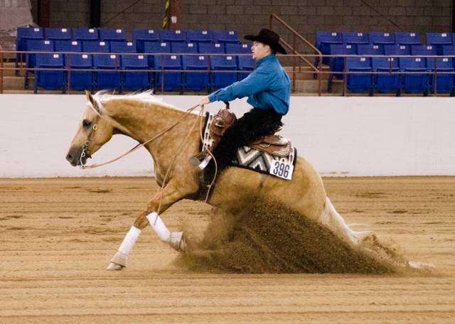 Stage western et de pleine nature