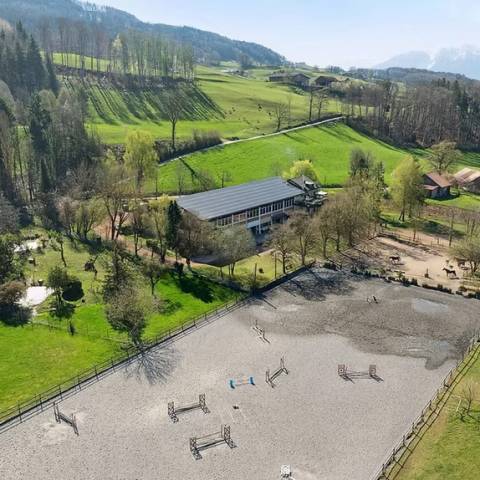 Recherche prof dressage cours hebdomadaire