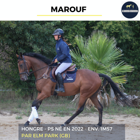 MAROUF - PS - 3 ANS