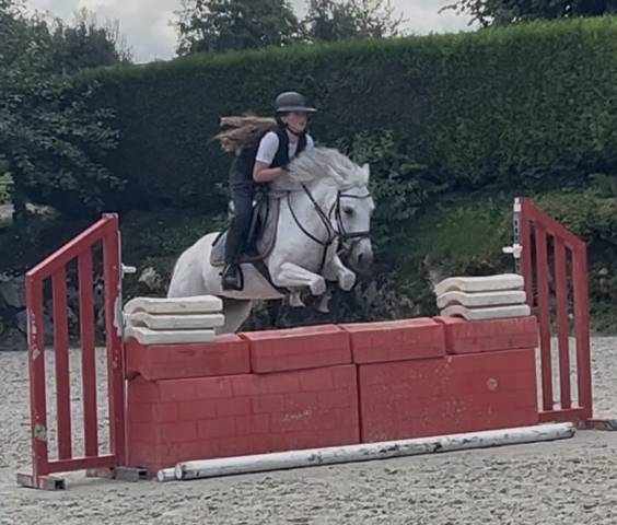 &Agrave; vendre Garrigue FBK 2016