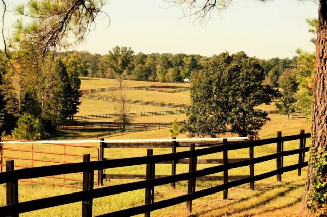 Centre Equestre en Activit&eacute;-24 hectares + 20 hectares en locati