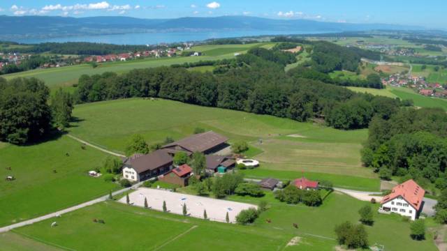 Recherchons palefrenier / employ&eacute; de ferme avec chevaux