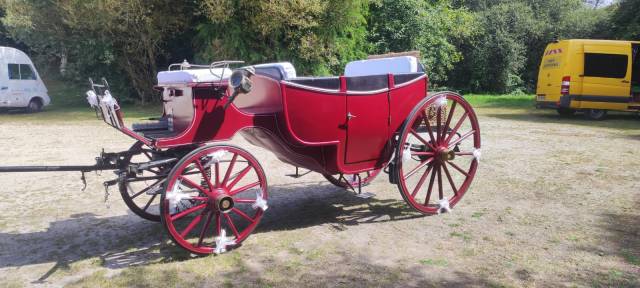 cal&egrave;che type landau vis &agrave; vis