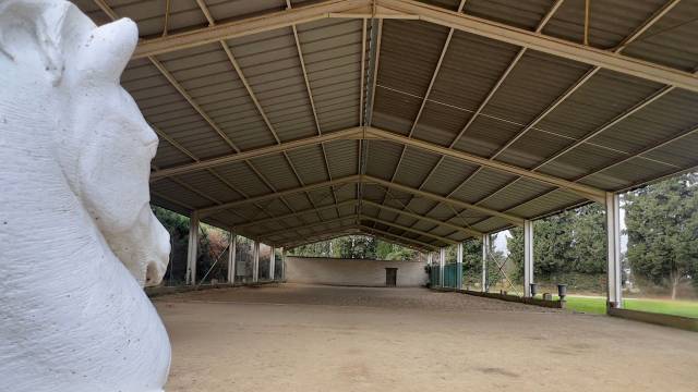 Au pied des Alpilles : mas de charme avec installations