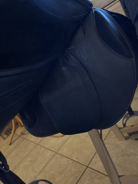 Selle erreplus 17,5 Christian Allemann