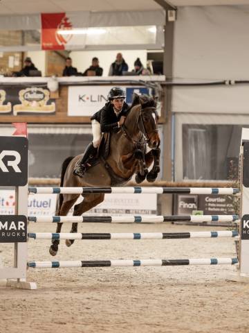 Poney d&rsquo;as &eacute;lite &agrave; vendre, Fenomene du Cyan