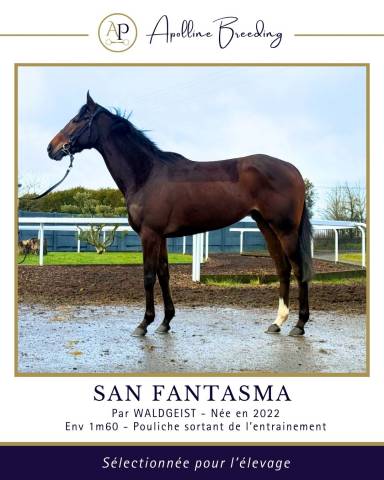 J. gagnante pr courses ou &eacute;levage / Fille & soeur de BT