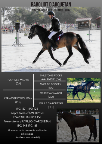 Raboliot d'Arquetan  - Approuv&eacute; PFS