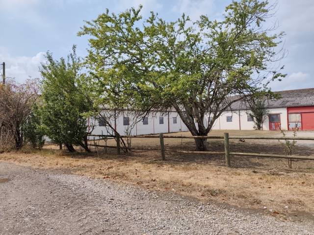 Propri&eacute;t&eacute; agricole - anciens haras nationaux