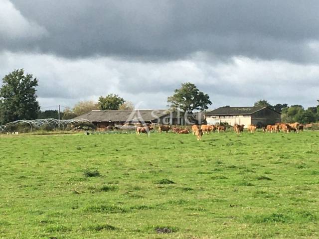 Propri&eacute;t&eacute; agricole bien group&eacute;e sur environ 43 ha