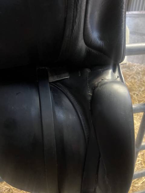 Selle dressage stubben 