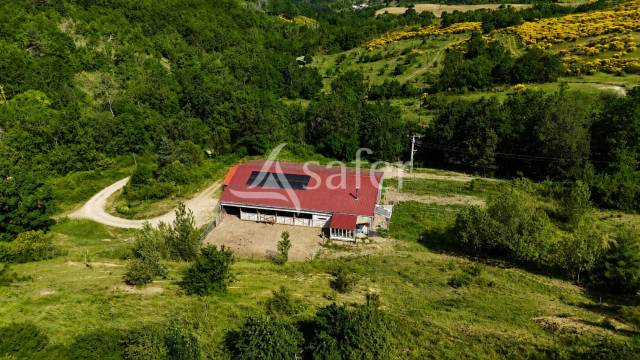 B&acirc;timent d'&eacute;levage avec habitation autonome sur 1,3 ha proch