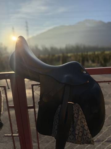 Selle Amerigo taille 17