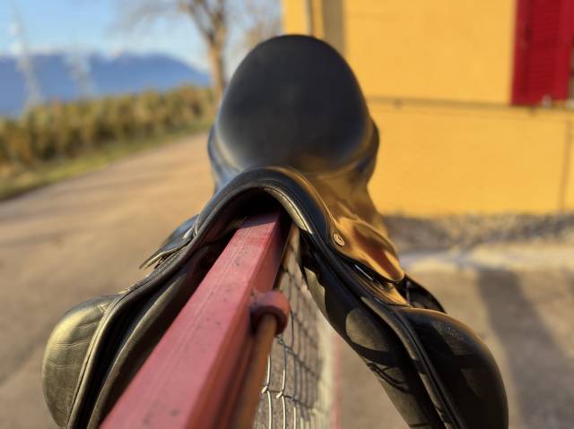 Selle Amerigo taille 17