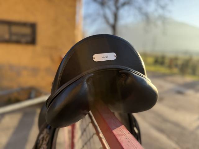 Selle Amerigo taille 17