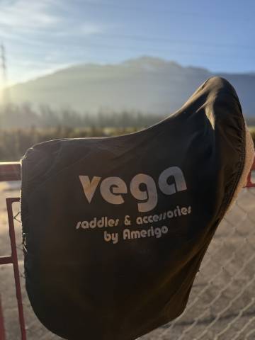 Selle Amerigo taille 17