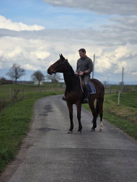 Jument maitre d'&eacute;cole loisirs