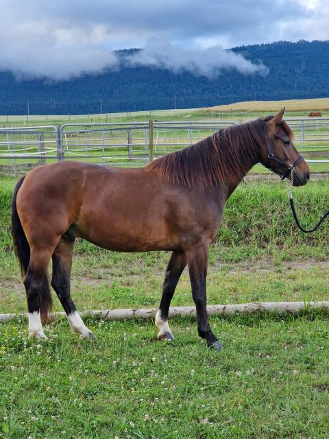 C&oelig;ur &agrave; prendre