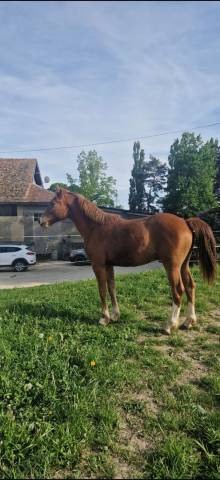 C&oelig;ur &agrave; prendre