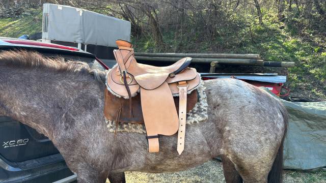 Selle de randonn&eacute;e avec sacoches