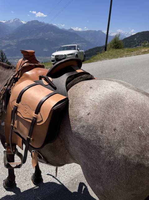 Selle de randonn&eacute;e avec sacoches