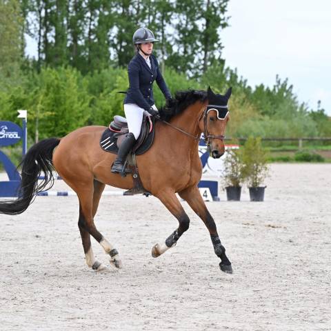 Cavalier/ Monitrice / palefrenier ind&eacute;pendant 