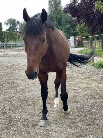 Demi/quart‑pension