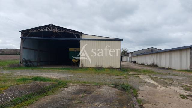 Exploitation c&eacute;r&eacute;ali&egrave;re sur 720 ha