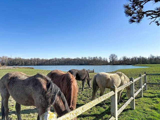 Domaine d'exception de 35 hectares (01)