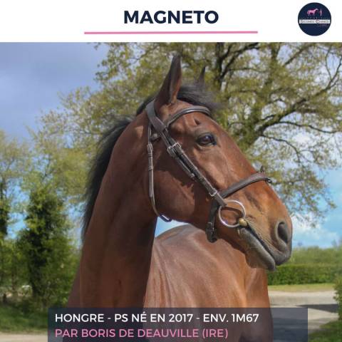 MAGNETO - PS - 9 ANS 