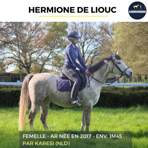 HERMIONE DE LIOUC - AR - 9 ANS 