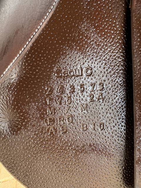 Selle forestier neuve 