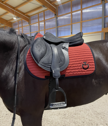 Selle CWD 2Gs &ndash; 17&rdquo; / Quartiers 3C &ndash; Tr&egrave;s bon &eacute;tat