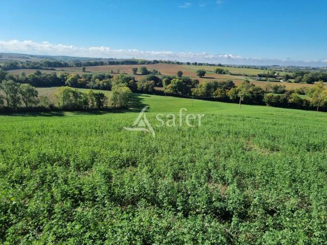 Propri&eacute;t&eacute; agricole  11 ha de terres cultivables  ESCORNE