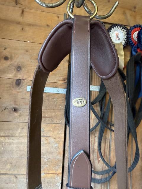 Collier de chasse 5 points + martingale taille cheval 