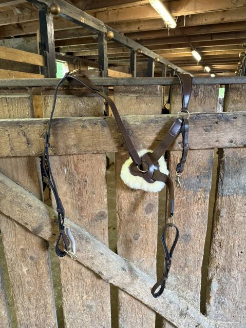 Collier de chasse 5 points + martingale taille cheval 