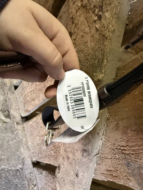 Collier de chasse 5 points + martingale taille cheval 