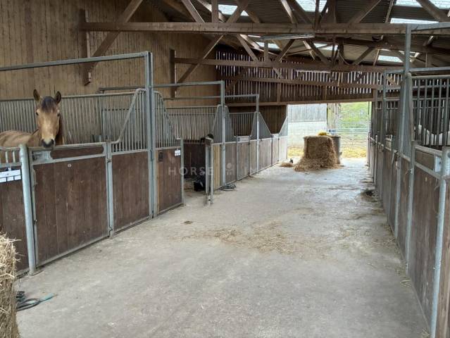 Centre &eacute;questre sur 12 ha, Plo&euml;rmel / Guer