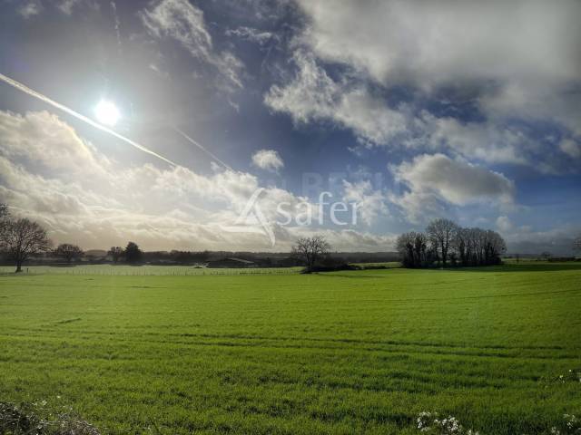 Exploitation Caprine + transformation &agrave; la ferme