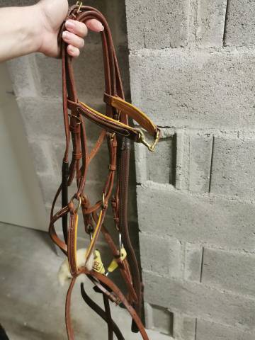 Bridon brun avec r&ecirc;nes et mors