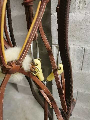 Bridon brun avec r&ecirc;nes et mors