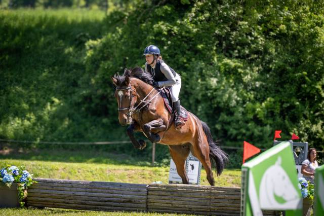 Jument de 13 ans &agrave; vendre 