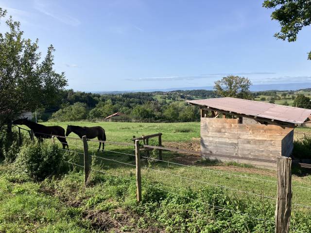 Ferme &eacute;questre
