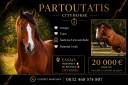 Partoutatis 